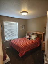 Bedroom with baseboards, carpet floors, and a textured ceiling