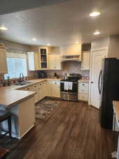 Kitchen with electric stove, a sink, dark wood finished floors, freestanding refrigerator, and custom exhaust hood