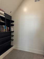 Upstair office/bedroom walk-in closet and library
