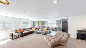 Living area featuring carpet, baseboards, and a wealth of natural light