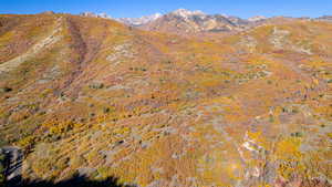 View of mountain feature