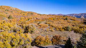 Property view of mountains with a wooded view