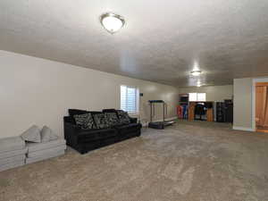 Living area featuring baseboards, carpet floors, and a textured ceiling