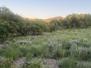 View of mountain background