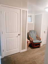 Living area with carpet and a textured ceiling