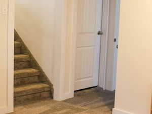 Interior space featuring baseboards and carpet floors