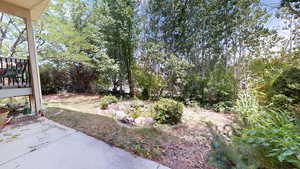 View of yard with a patio and a wooden deck