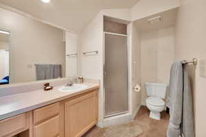 Full bath with toilet, vanity, and a shower stall