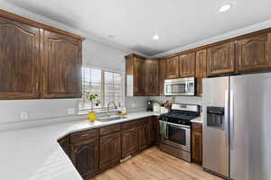 Kitchen featuring light countertops, light wood-type flooring, stainless steel appliances, a sink, and dark brown cabinetry