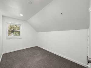 Additional living space with baseboards, dark colored carpet, and vaulted ceiling