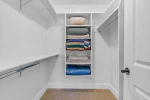 Primary Suite Walk in closet featuring carpet floors