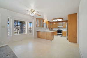 Kitchen with under cabinet range hood, a ceiling fan, a peninsula, appliances with stainless steel finishes, and glass insert cabinets
