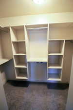 Walk in closet with dark carpet