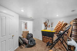 Bedroom or flex room