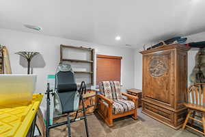 Bedroom/flex room