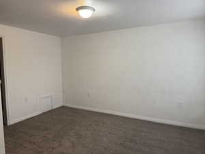 downstairs bedroom