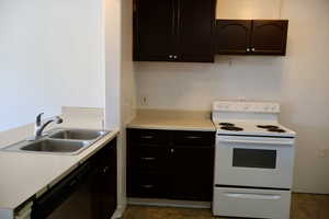 Basement Kitchen