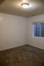 Basement Bedroom