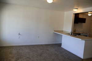 Downstairs kitchen and living area