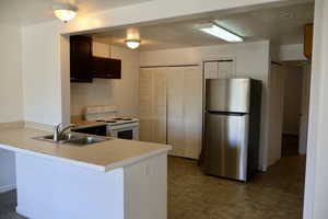 Basement Kitchen