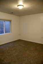 2nd Primary in basement