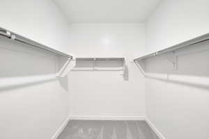 Walk in closet with carpet floors