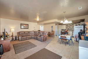 Basement living room.