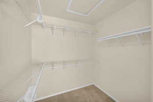 Walk in closet with carpet