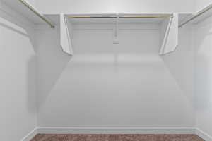 Walk in closet with carpet flooring