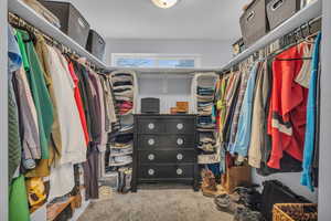 Walk in closet featuring carpet flooring