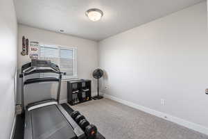 Workout room featuring baseboards, visible vents, carpet floors, and a textured ceiling