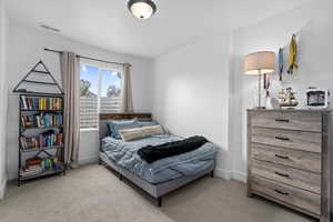 3rd bedroom (lower level)