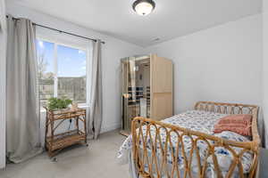 2nd bedroom (lower level)