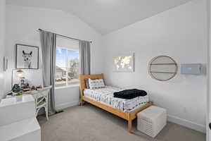 3rd bedroom (main level) with vaulted ceilings