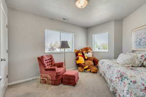 Level 2 - Bedroom 2 with Walk-In Closet