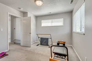 Level 2 - Bedroom 3 with Walk-In Closet