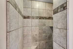 ADU Ground Level - Bathroom Step In Shower with Seat