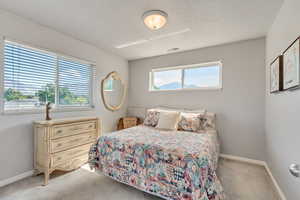 Level 2 - Bedroom 1 with Walk-In Closet