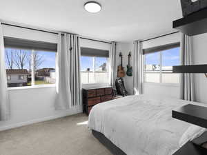 Bedroom featuring multiple windows, baseboards, and carpet