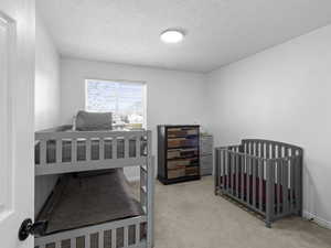 Carpeted bedroom with baseboards and a textured ceiling