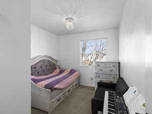 Bedroom featuring baseboards, carpet floors, and a textured ceiling