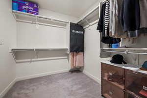 Walk in closet with carpet floors