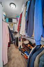 Spacious closet with carpet