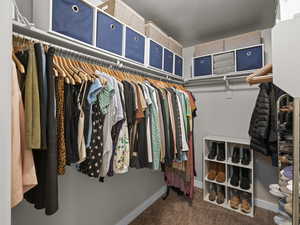 Spacious closet featuring carpet flooring