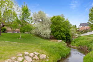 View of grassy yard