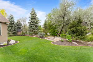 View of grassy yard