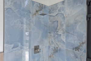 Details with tiled shower