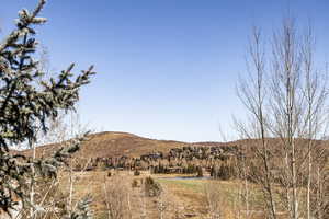 Photo 35 of 1741  LITTLE KATE RD