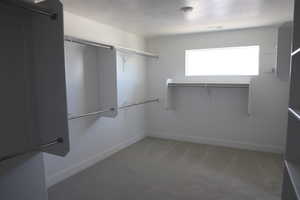 Walk in closet with visible vents and carpet floors
