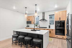 Kitchen with a sink, light wood finished floors, wall chimney exhaust hood, appliances with stainless steel finishes, and decorative backsplash